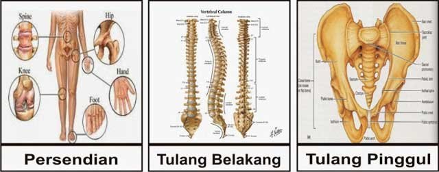 Peralatan Radiologi Modern